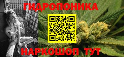 шишки Кинель