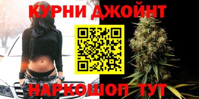 крисы Кандалакша