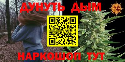 шишки Кинель