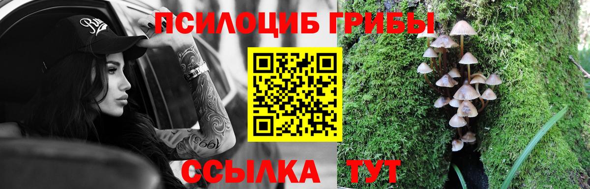 Галлюциногенные грибы Psilocybine cubensis Аксай